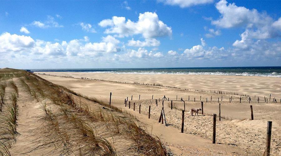 Beach Chalet Tranquilo Petten Exterior photo